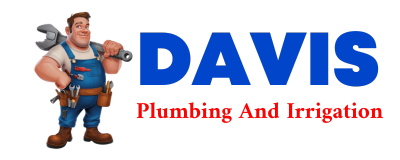 Trusted plumber in OCKLAWAHA